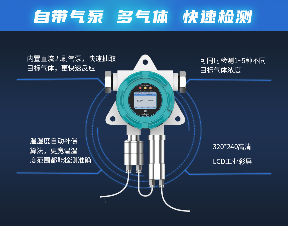 2-FG1000D泵吸式检测仪产品详情-自带气泵.jpg